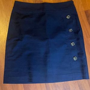 Ann Taylor brand new skirt with tags.